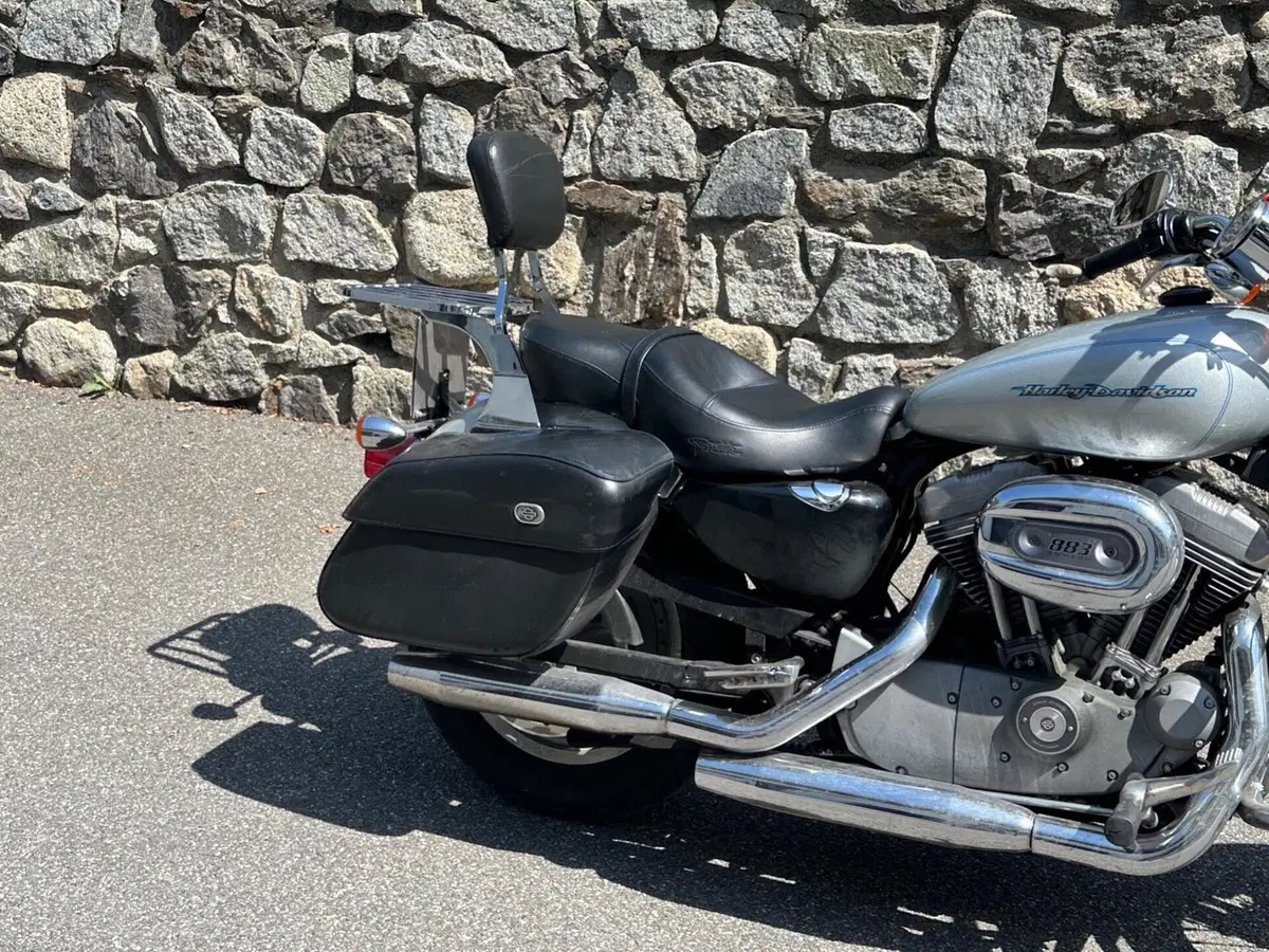 Harley-Davidson 883 Custom (2001 - 05) - XL 53C (17)