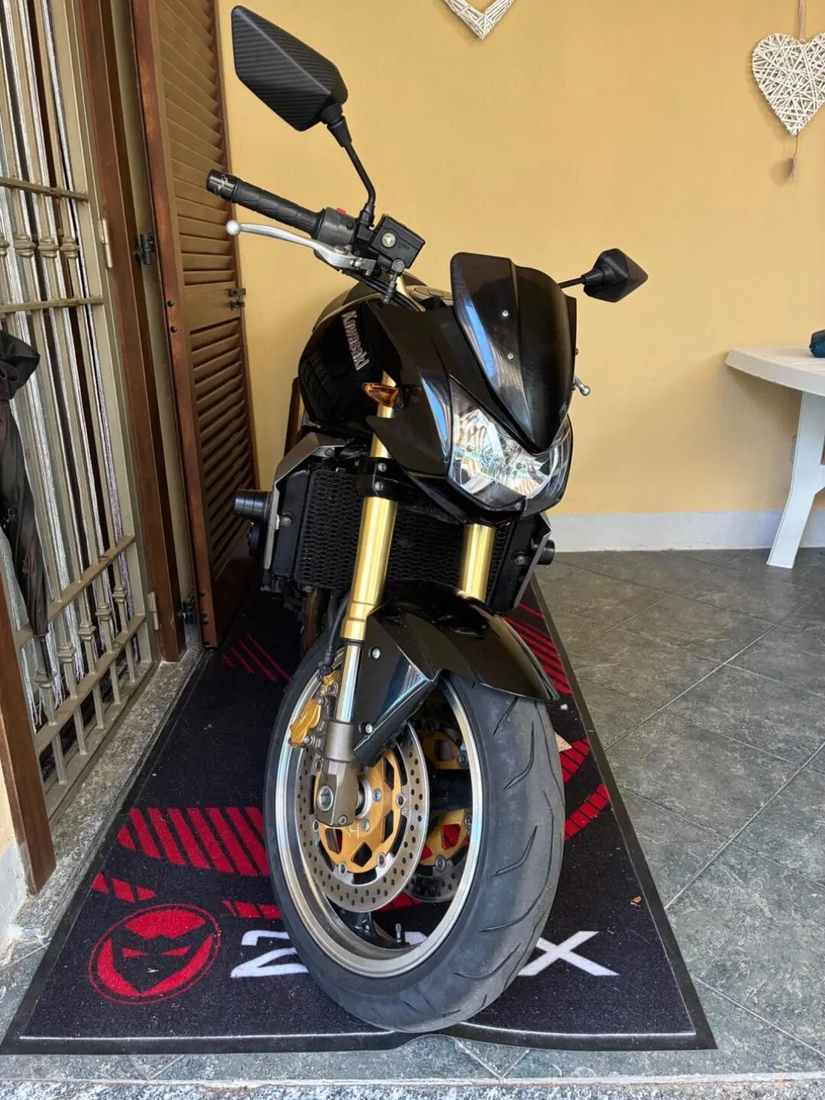 Kawasaki Z 1000 (2003 - 06) (2)