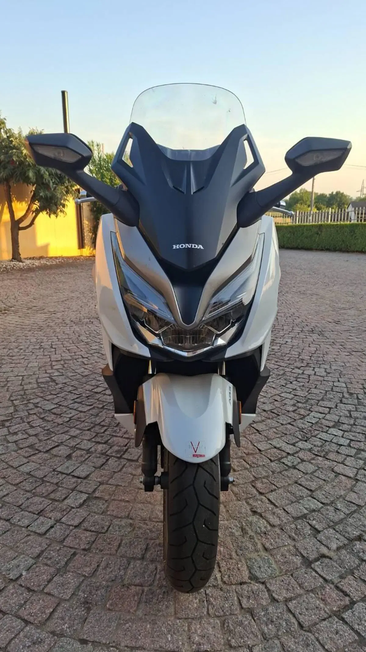 Honda Forza 350 (2022 - 24) (6)