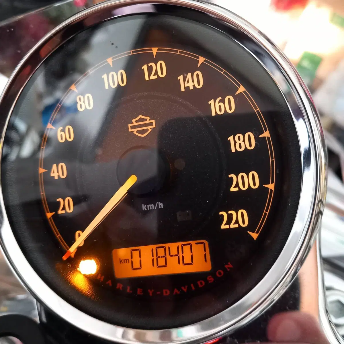 Harley-Davidson 1200 SuperLow (2014 - 16) - XL 1200T (7)