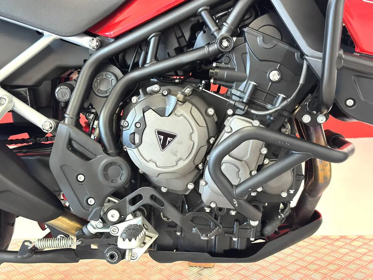 Triumph Tiger 900 GT Pro (2020 - 23) (11)