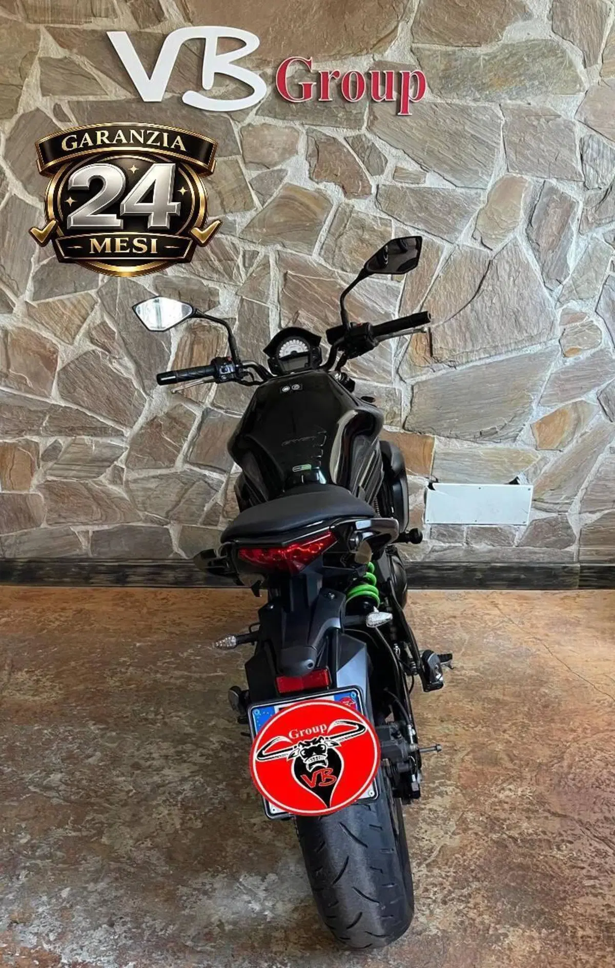 Kawasaki ER-6F ABS (2012 - 16) (5)
