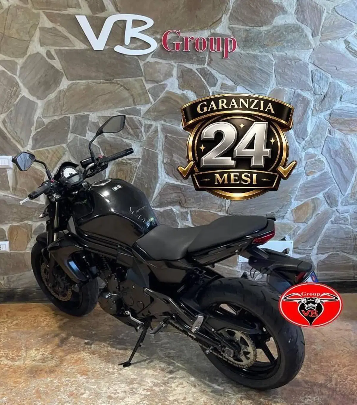 Kawasaki ER-6F ABS (2012 - 16) (4)