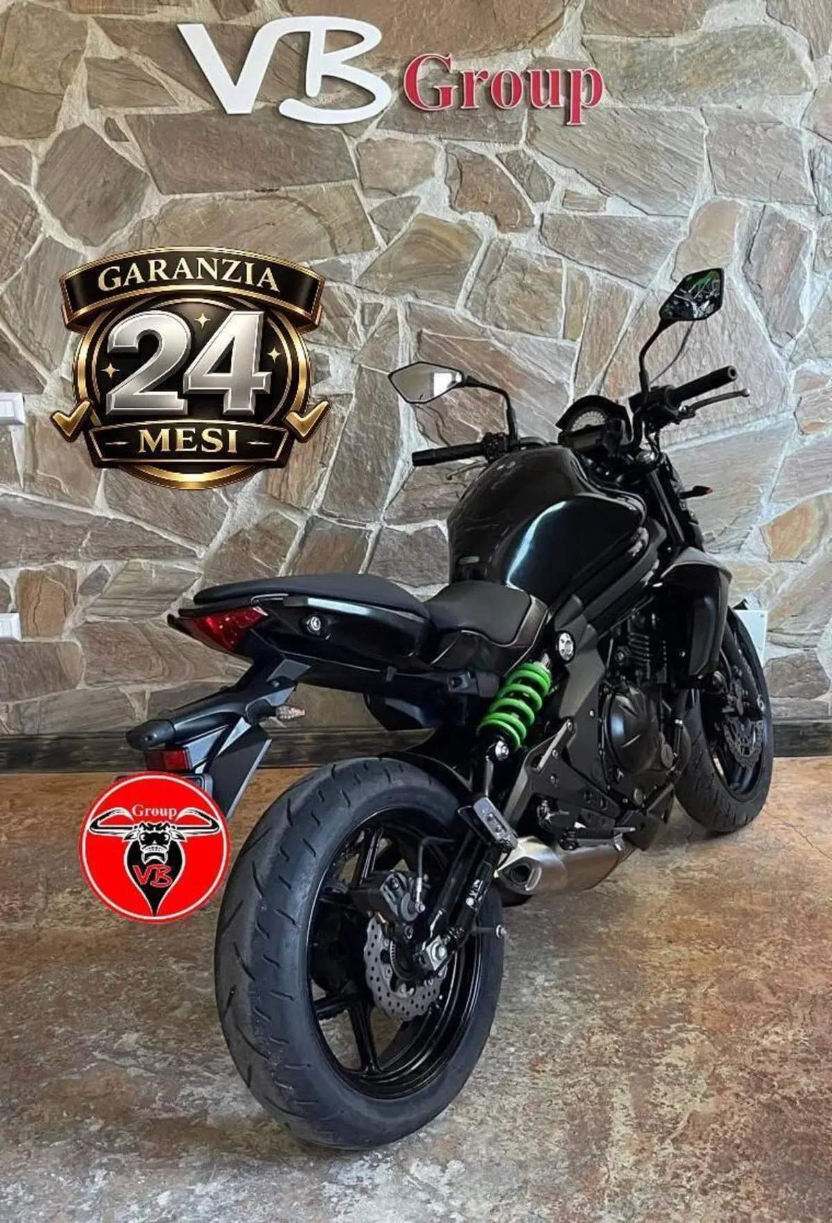 Kawasaki ER-6F ABS (2012 - 16) (6)