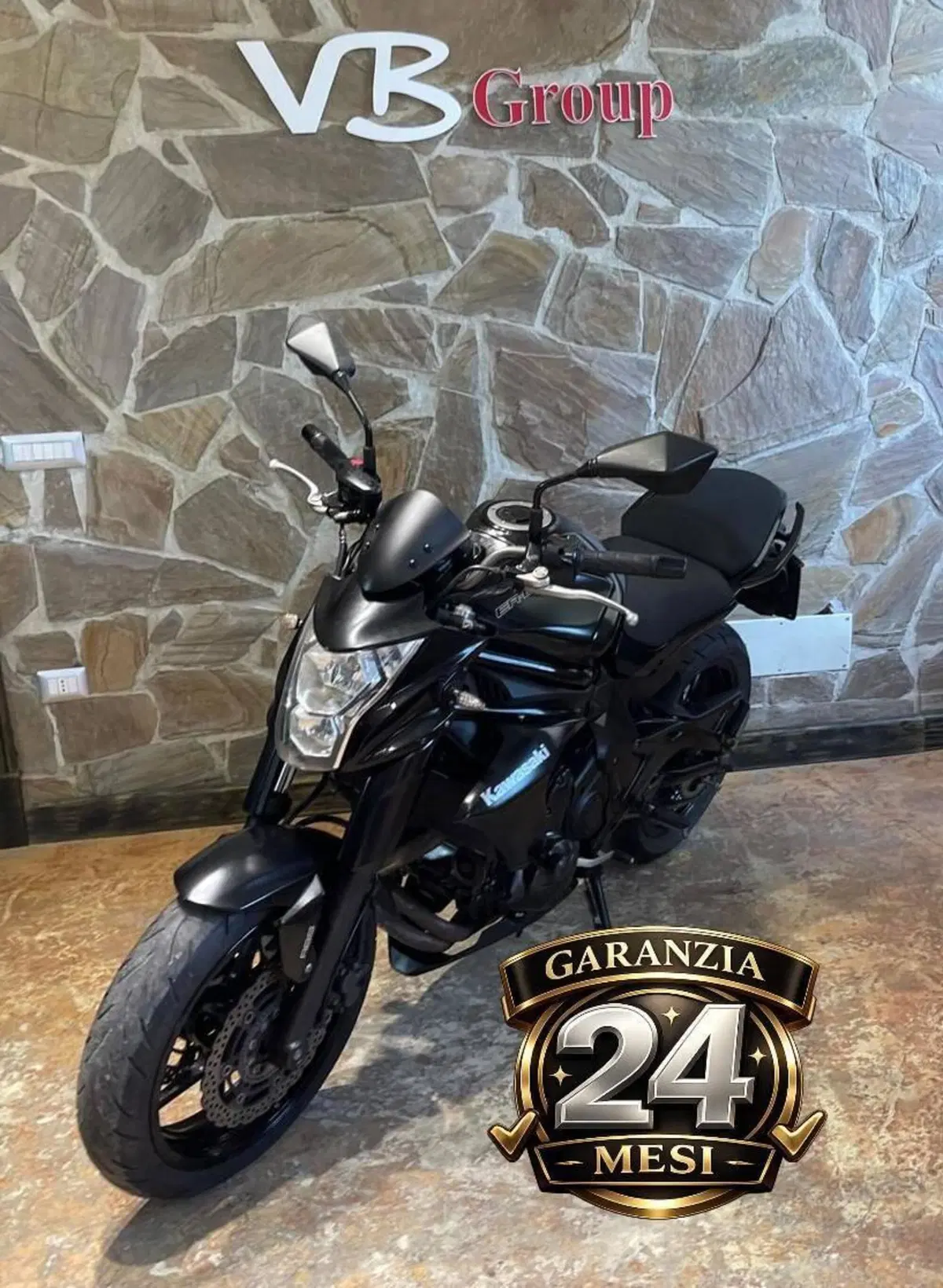Kawasaki ER-6F ABS (2012 - 16) (3)