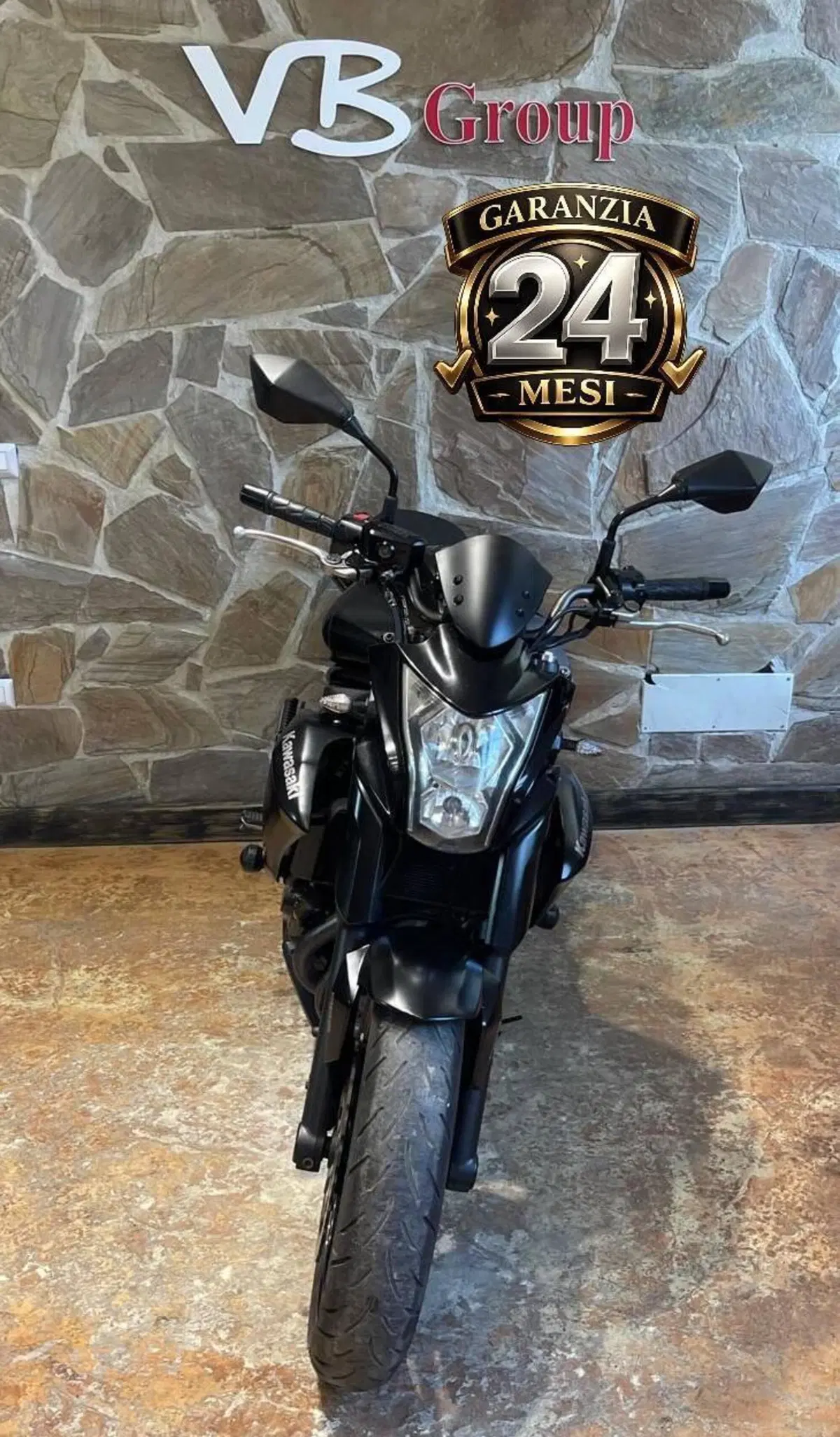 Kawasaki ER-6F ABS (2012 - 16) (2)