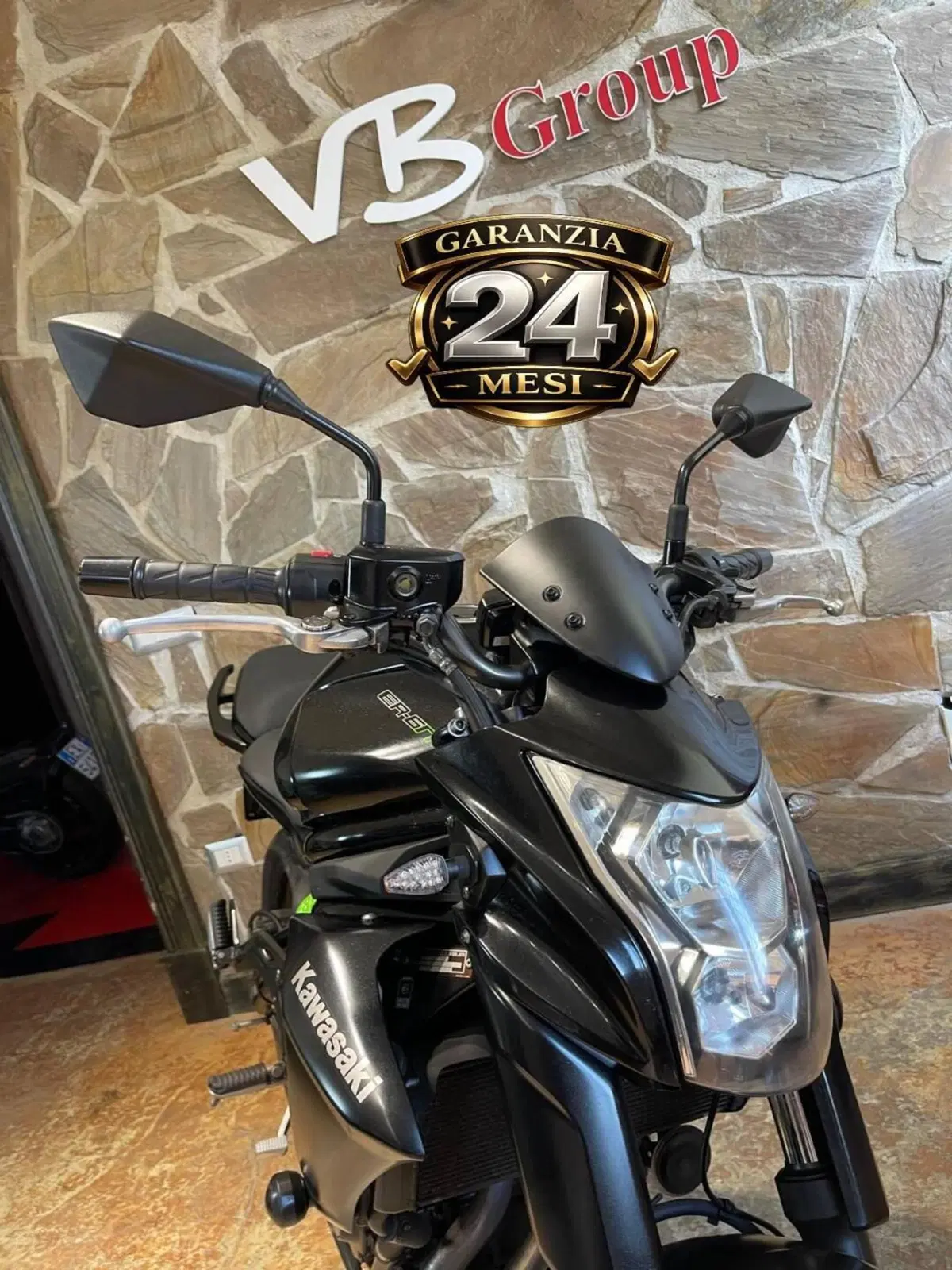 Kawasaki ER-6F ABS (2012 - 16) (8)