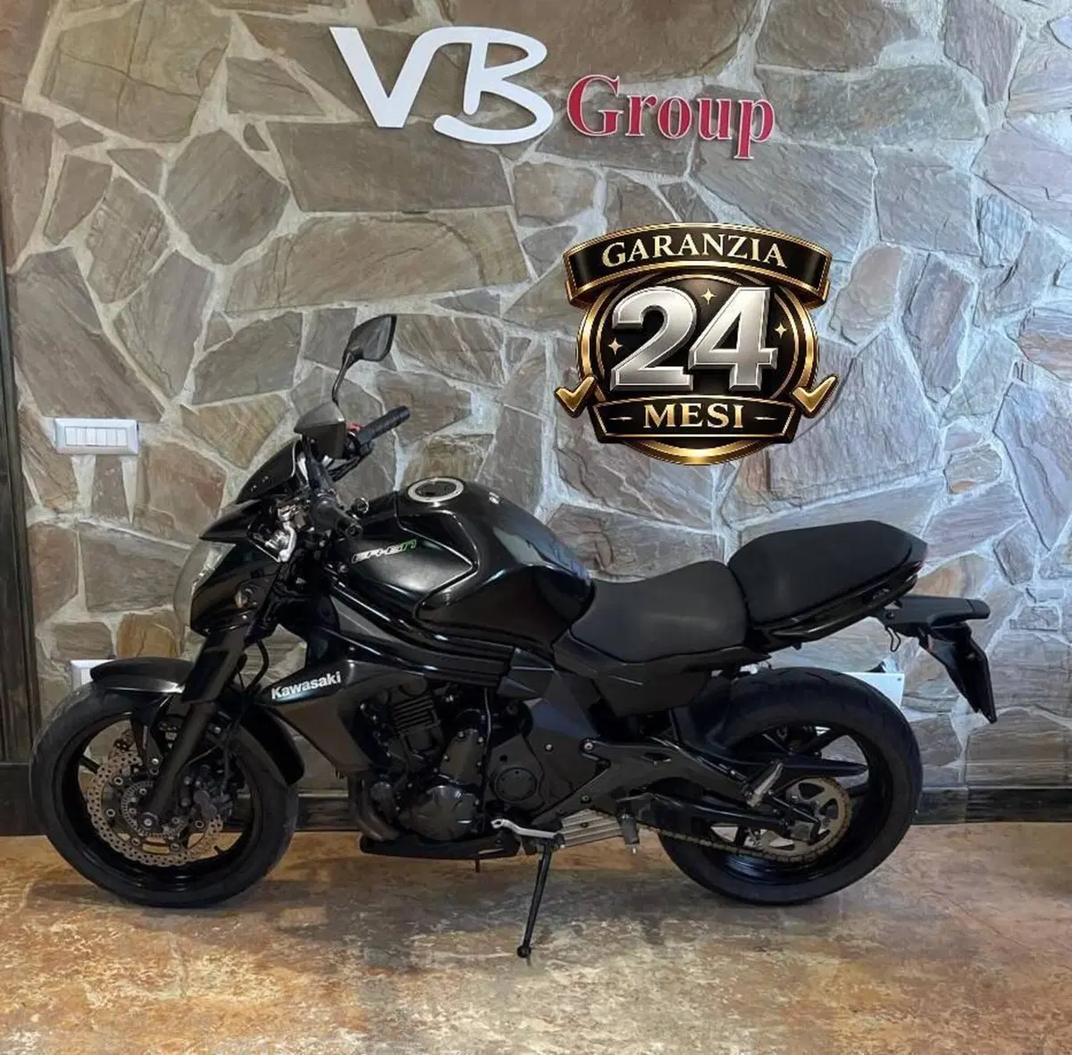 Kawasaki ER-6F ABS (2012 - 16) (18)