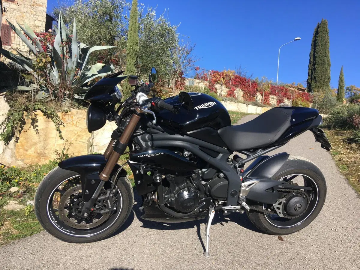 Triumph Speed Triple 1050 ABS (2011 - 15) (2)