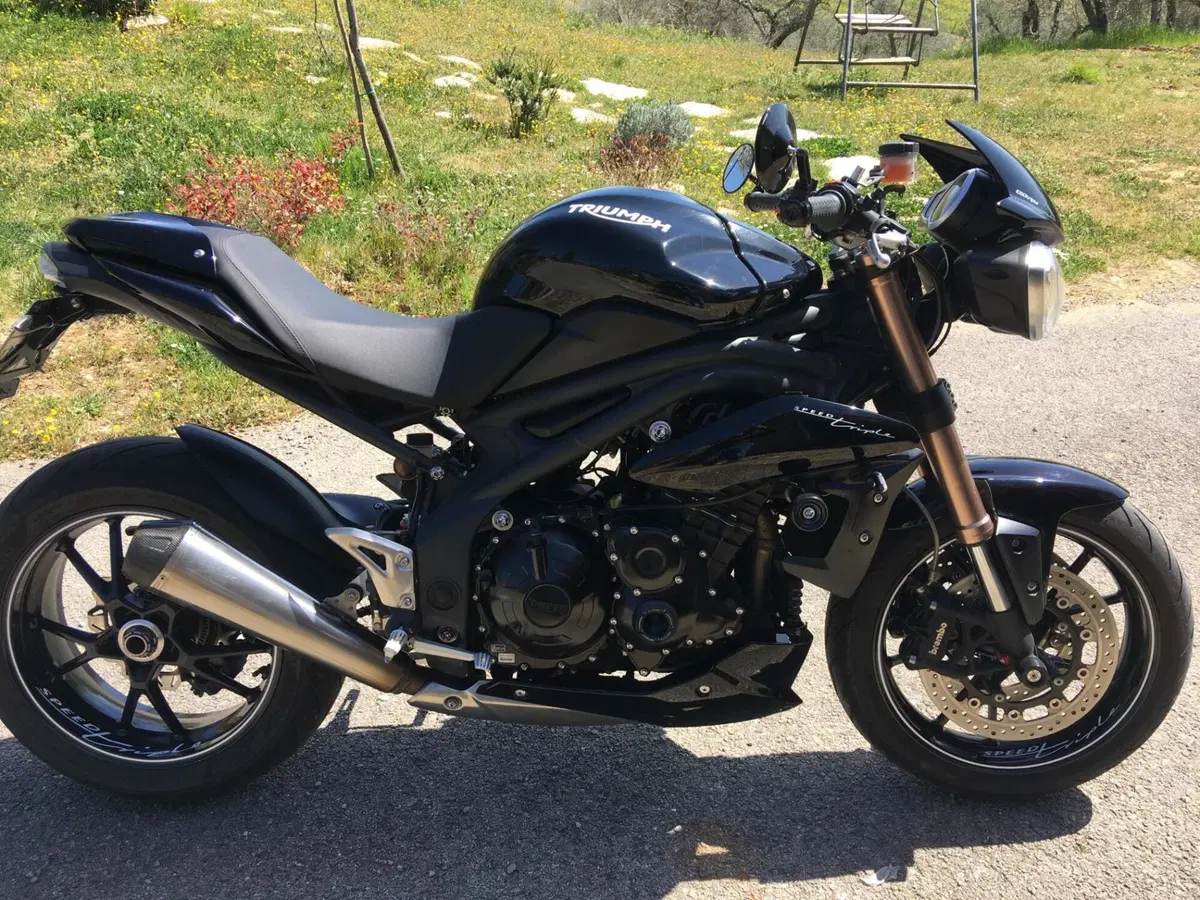 Triumph Speed Triple 1050 ABS (2011 - 15) (3)