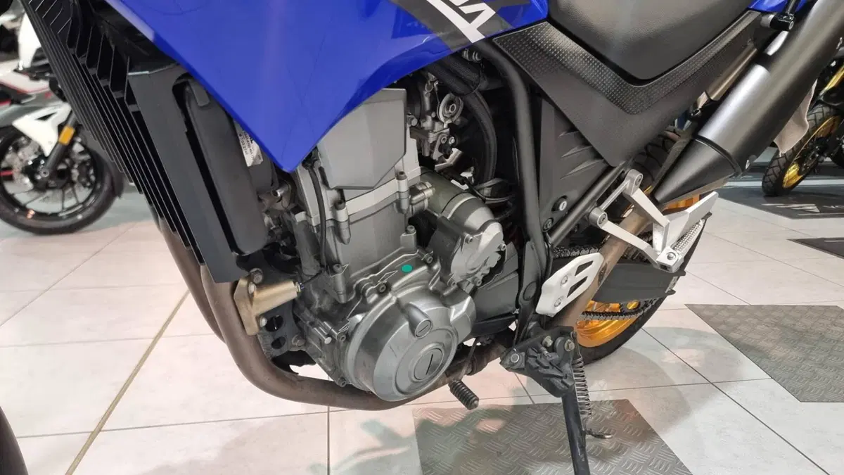 Yamaha XT 660 X (2004 - 16) (12)