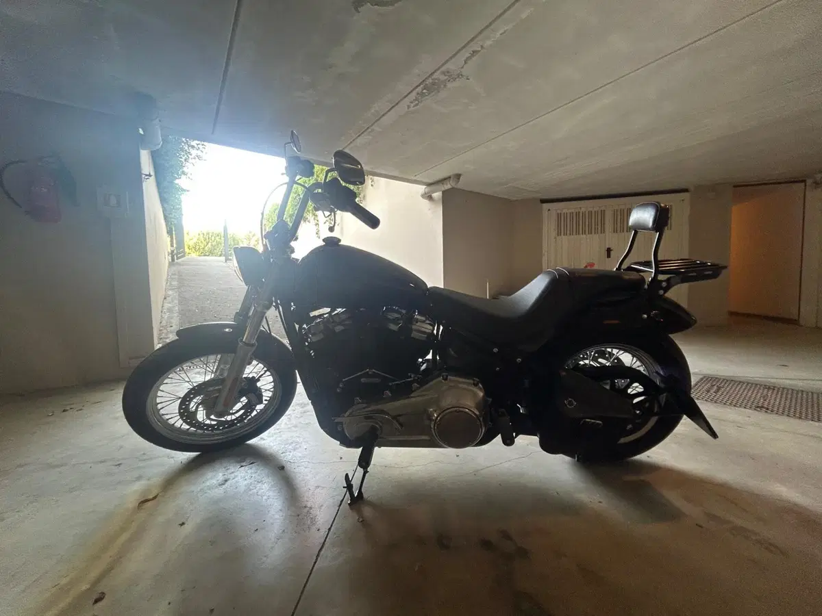 Harley-Davidson Softail Standard (2020) - FXST (2)