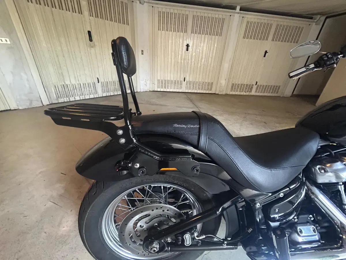 Harley-Davidson Softail Standard (2020) - FXST (6)