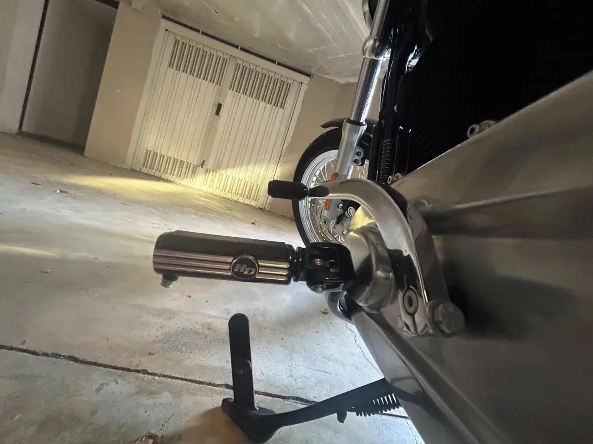 Harley-Davidson Softail Standard (2020) - FXST (8)