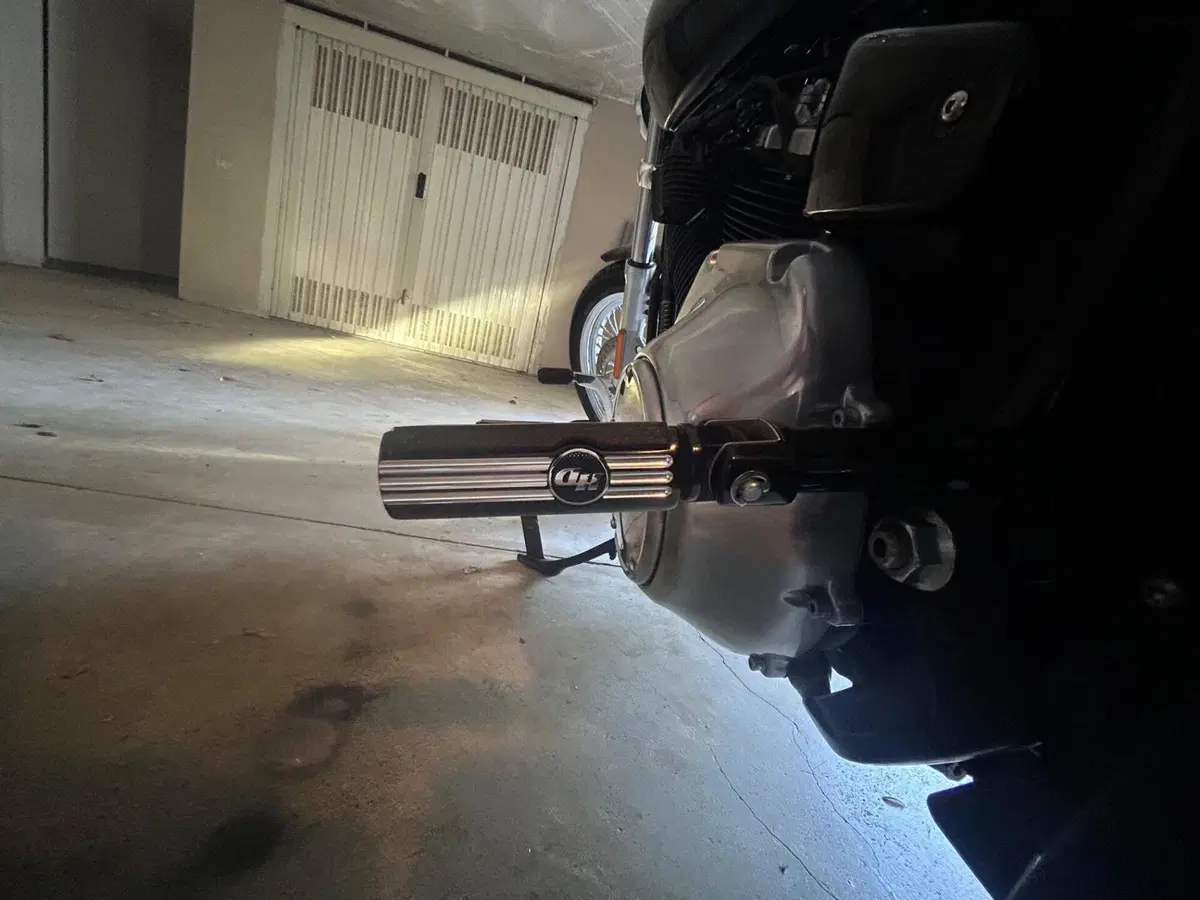 Harley-Davidson Softail Standard (2020) - FXST (9)