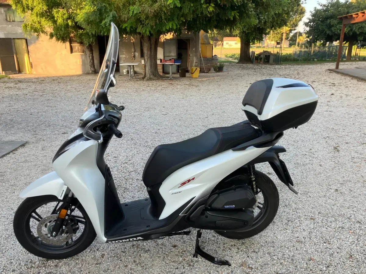Honda SH 150i Sport (2024 - 25) (2)