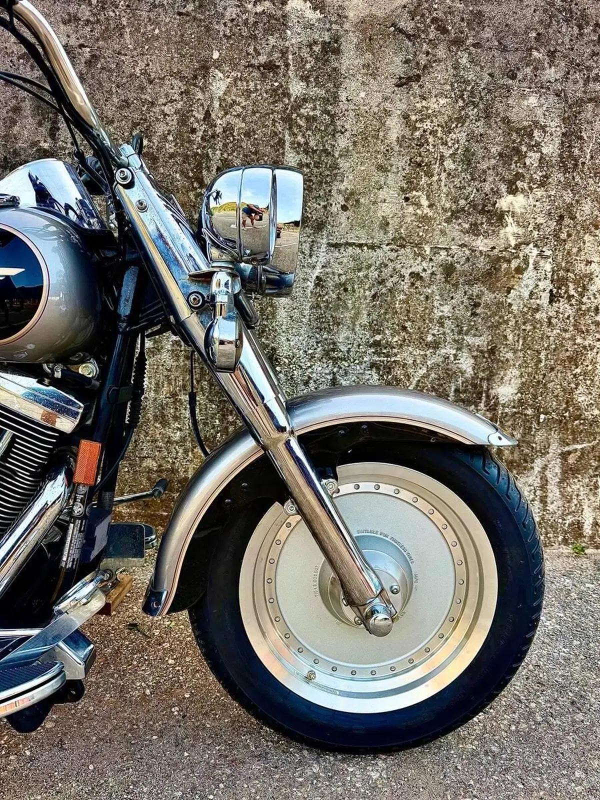 Harley-Davidson 1340 Fat Boy (1990 - 99) - FLSTF (11)