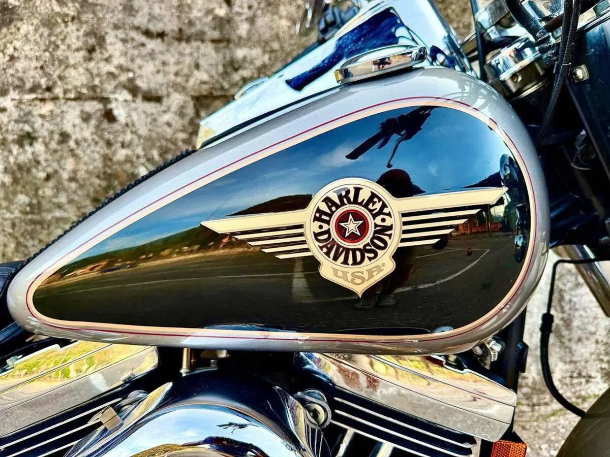Harley-Davidson 1340 Fat Boy (1990 - 99) - FLSTF (15)
