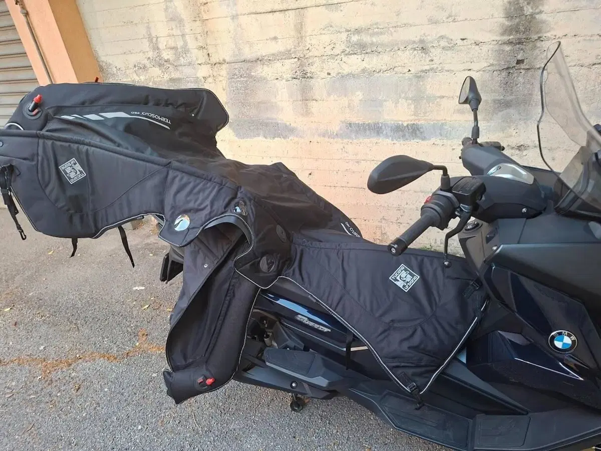Bmw C 400 GT (2021 - 24) (5)