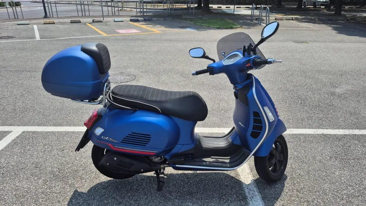 Vespa GTS 300 Hpe (2021 - 22) (2)
