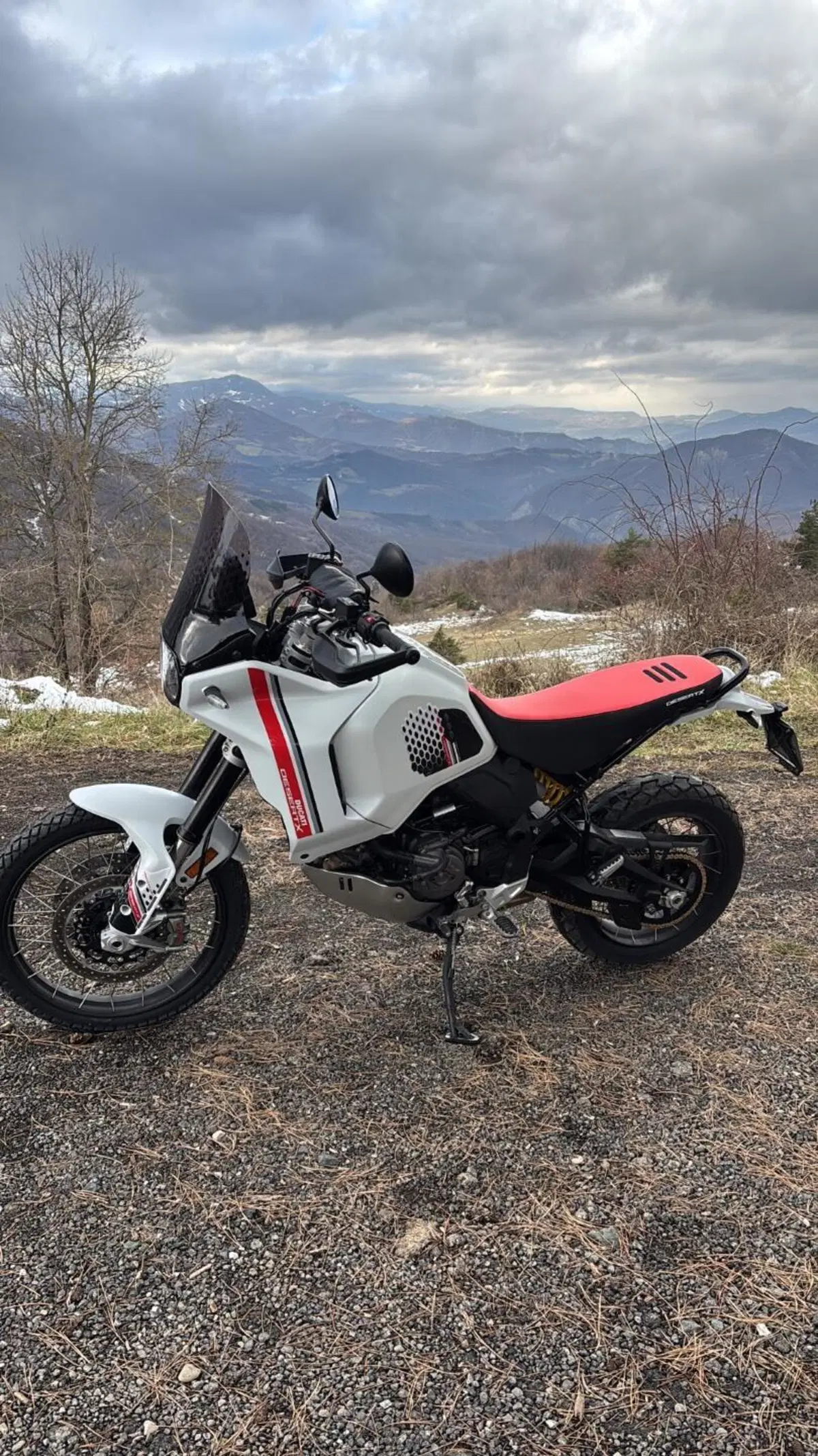 Ducati DesertX (2022 - 25) (3)