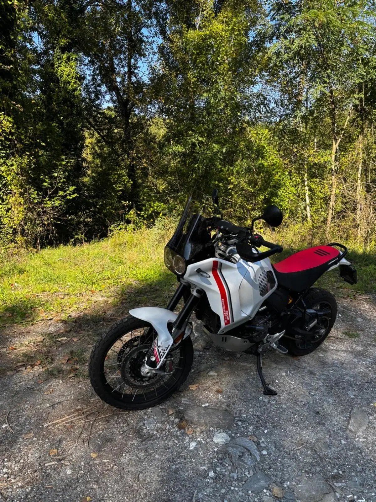 Ducati DesertX (2022 - 25) (5)