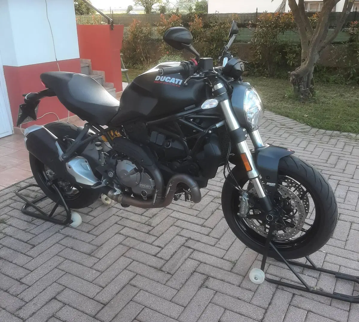 Ducati Monster 821 (2018 - 20) (2)