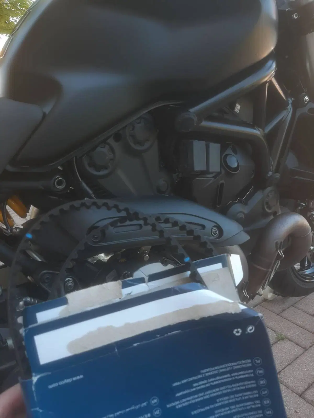 Ducati Monster 821 (2018 - 20) (7)