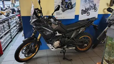 Voge Valico 800DSX Rally (2025 - 26) nuova