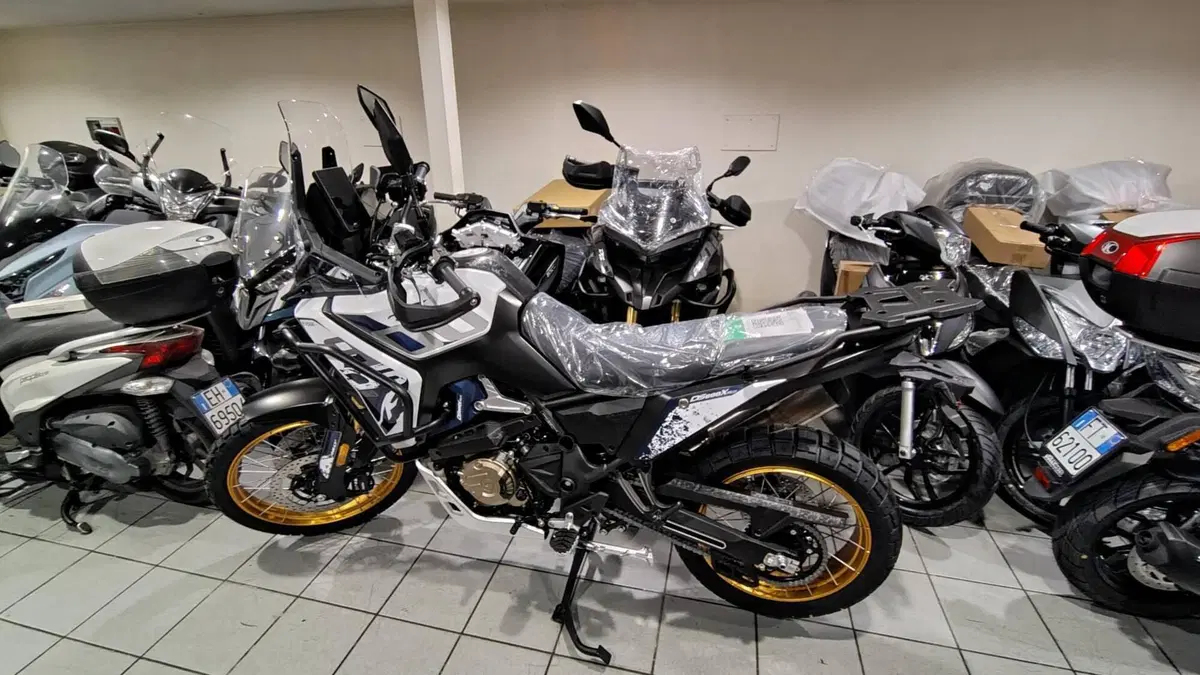 Voge Valico 800DSX Rally (2025 - 26)