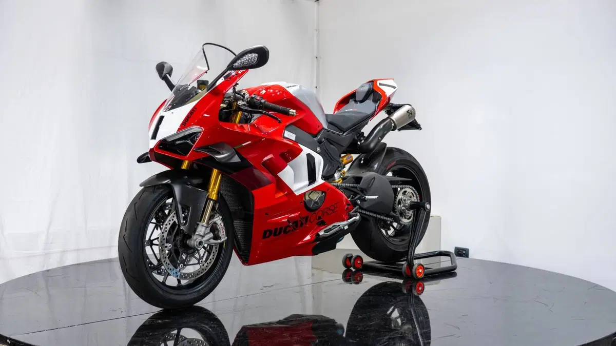 Ducati Panigale V4 R (2023 - 24) (5)