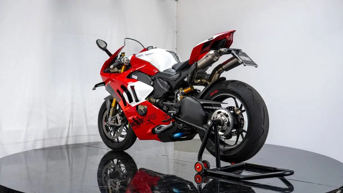 Ducati Panigale V4 R (2023 - 24) (9)