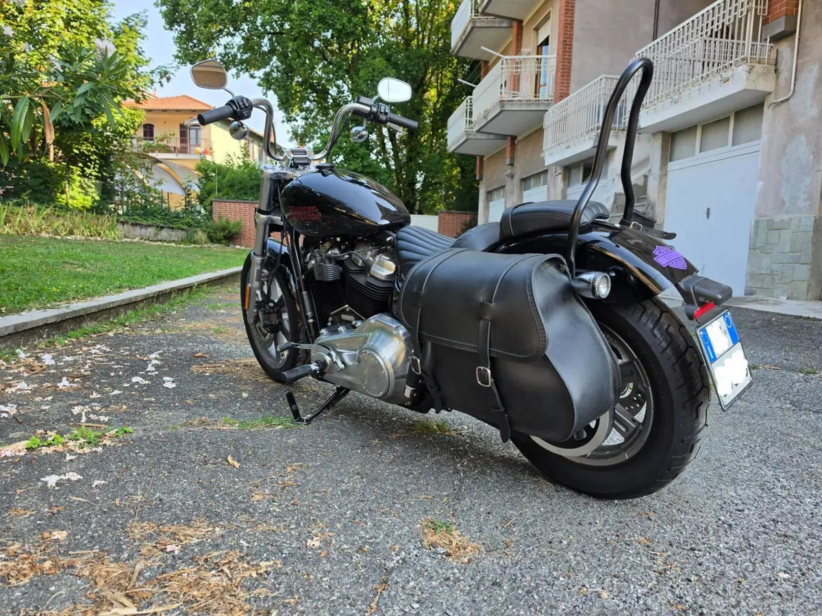 Harley-Davidson 107 Slim (2021) - FLSL (3)