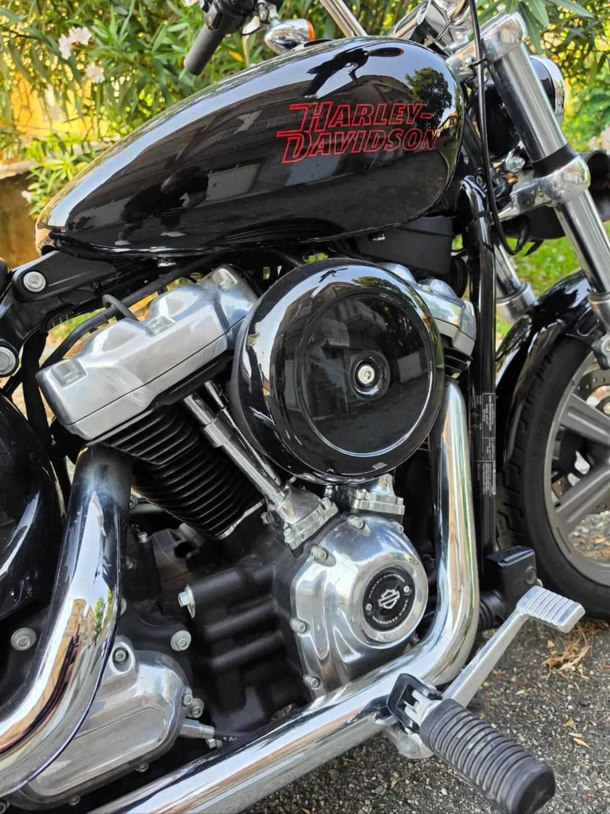 Harley-Davidson 107 Slim (2021) - FLSL (4)