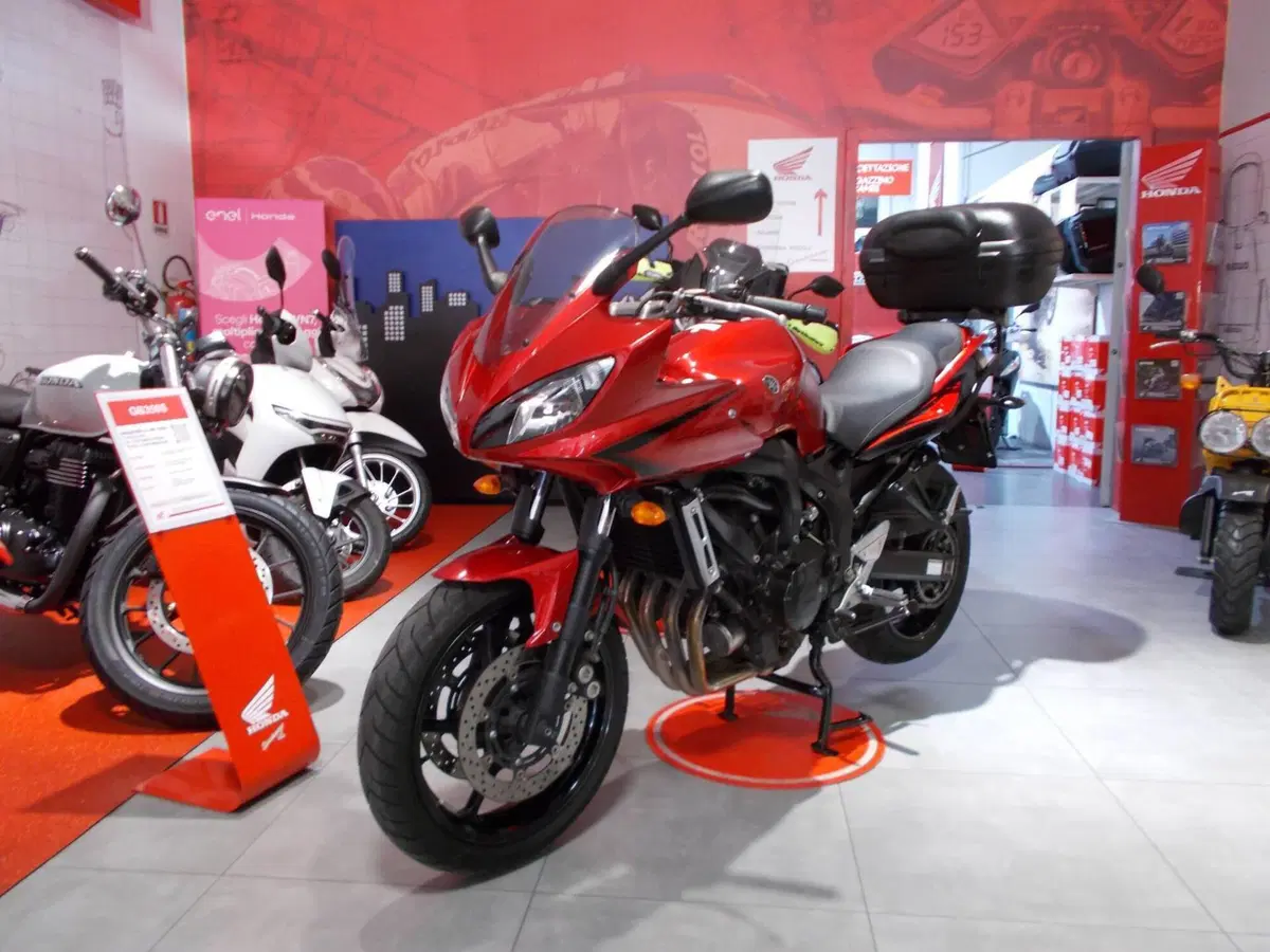 Yamaha FZ6 Fazer S2 (2006 - 11) (3)