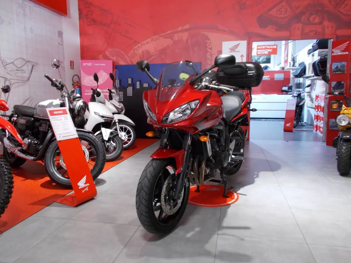 Yamaha FZ6 Fazer S2 (2006 - 11) (5)