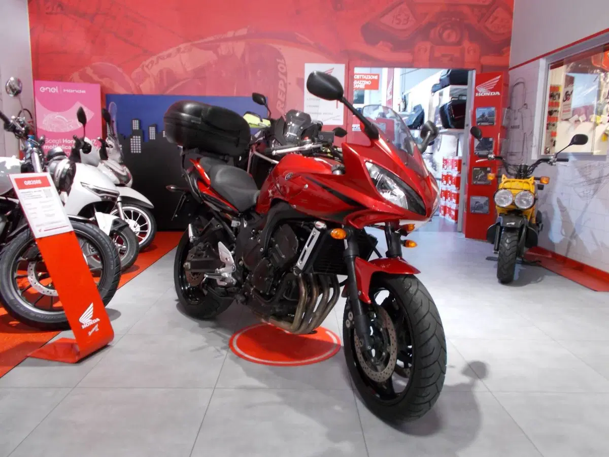 Yamaha FZ6 Fazer S2 (2006 - 11) (9)
