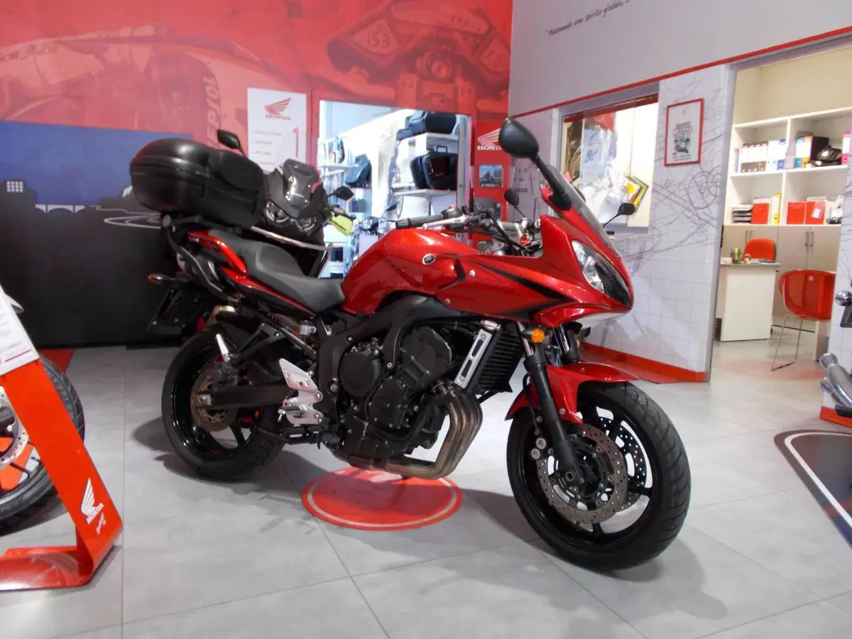 Yamaha FZ6 Fazer S2 (2006 - 11) (11)