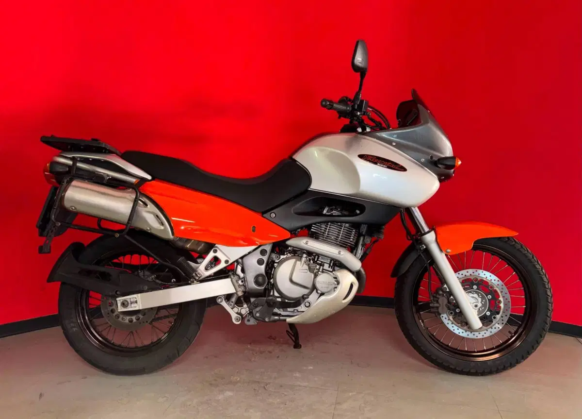 Suzuki XF 650 Freewind (1997 - 03)