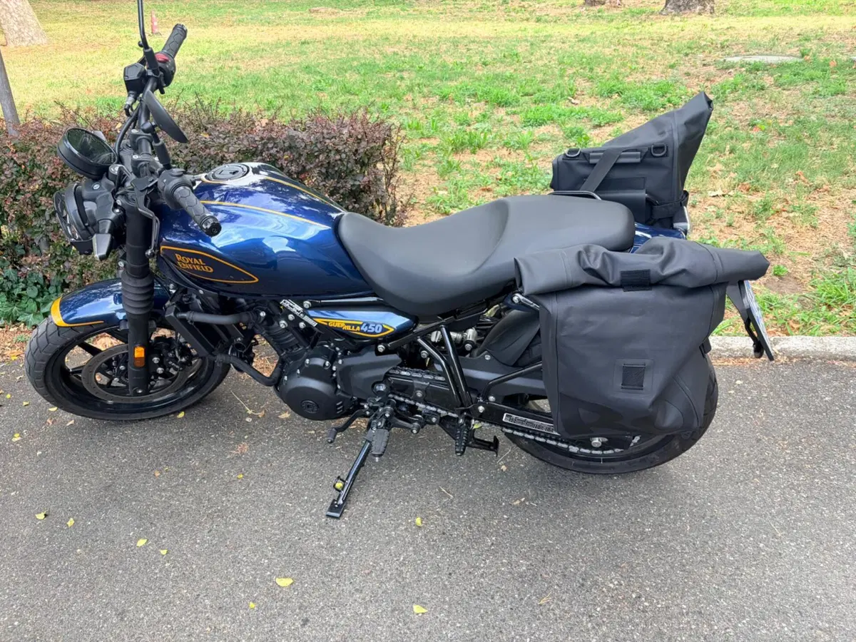 Royal Enfield Guerrilla 450 (2024 - 26) (3)