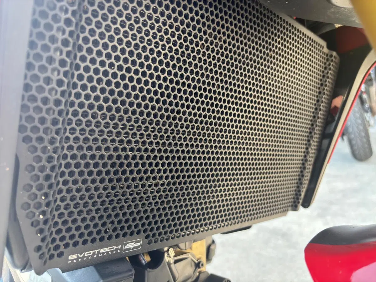 Ducati Multistrada 1260 Pikes Peak (2018 - 20) (13)