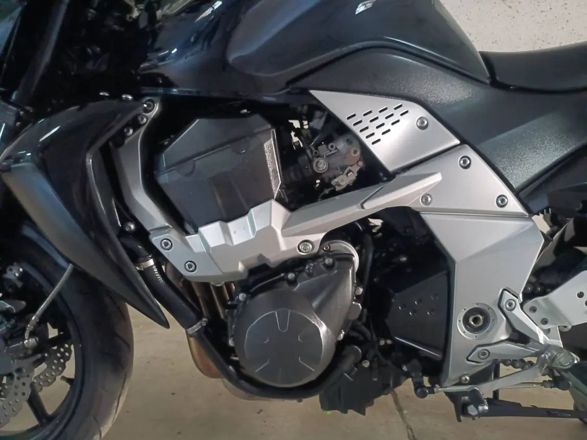Kawasaki Z 750 (2007 - 14) (11)