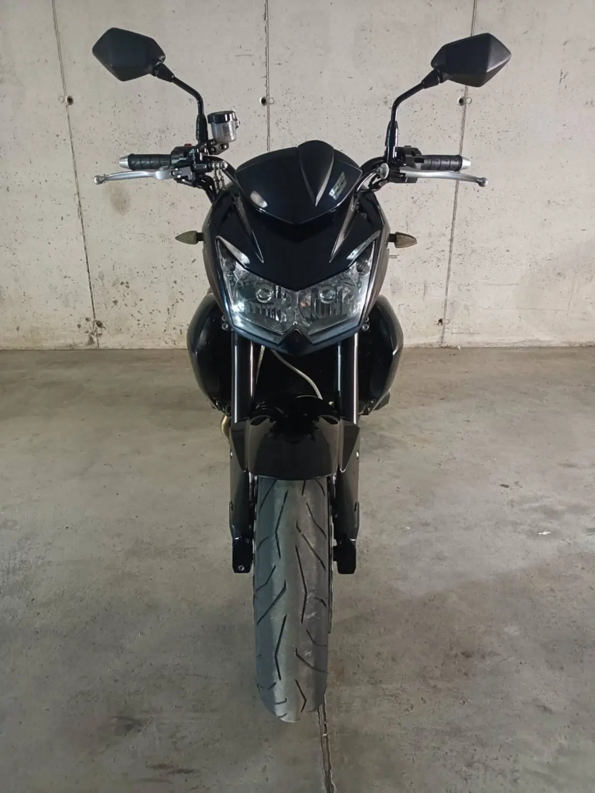 Kawasaki Z 750 (2007 - 14) (6)