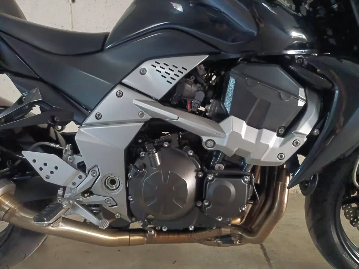 Kawasaki Z 750 (2007 - 14) (3)