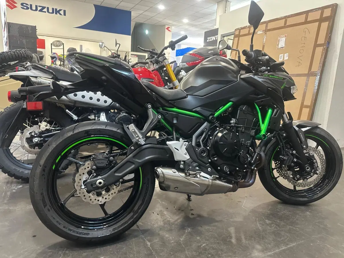 Kawasaki Z 650 (2021 - 24) (6)
