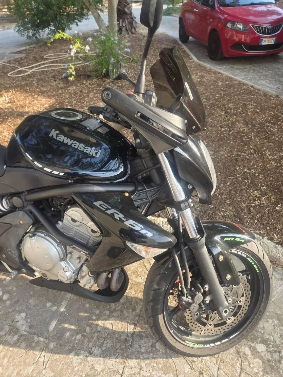 Kawasaki ER-6N (2006 - 09) (6)