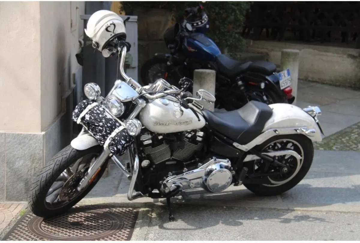 Harley-Davidson 107 Low Rider (2018 - 20) - FXLR (2)