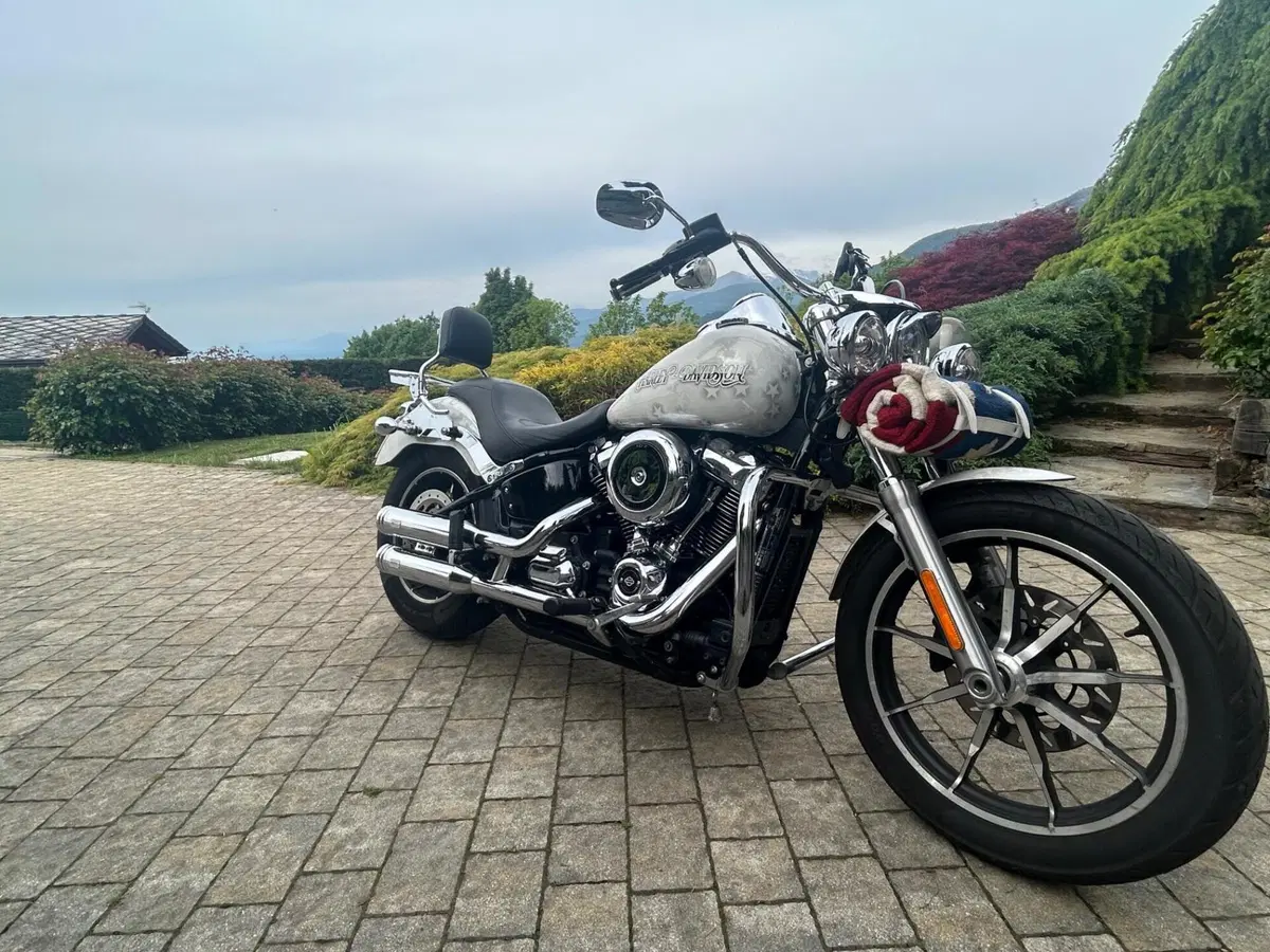 Harley-Davidson 107 Low Rider (2018 - 20) - FXLR (3)