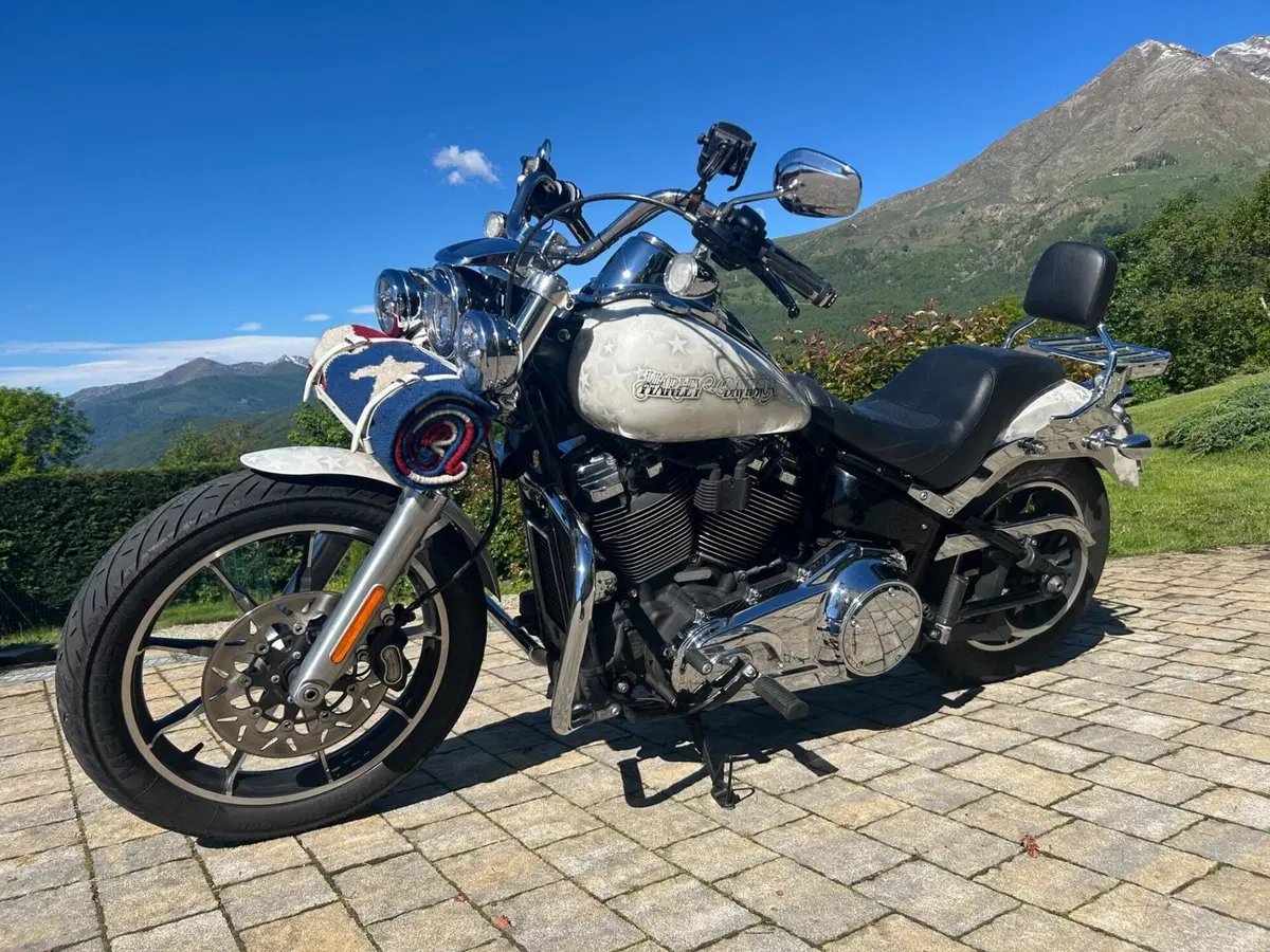 Harley-Davidson 107 Low Rider (2018 - 20) - FXLR (4)