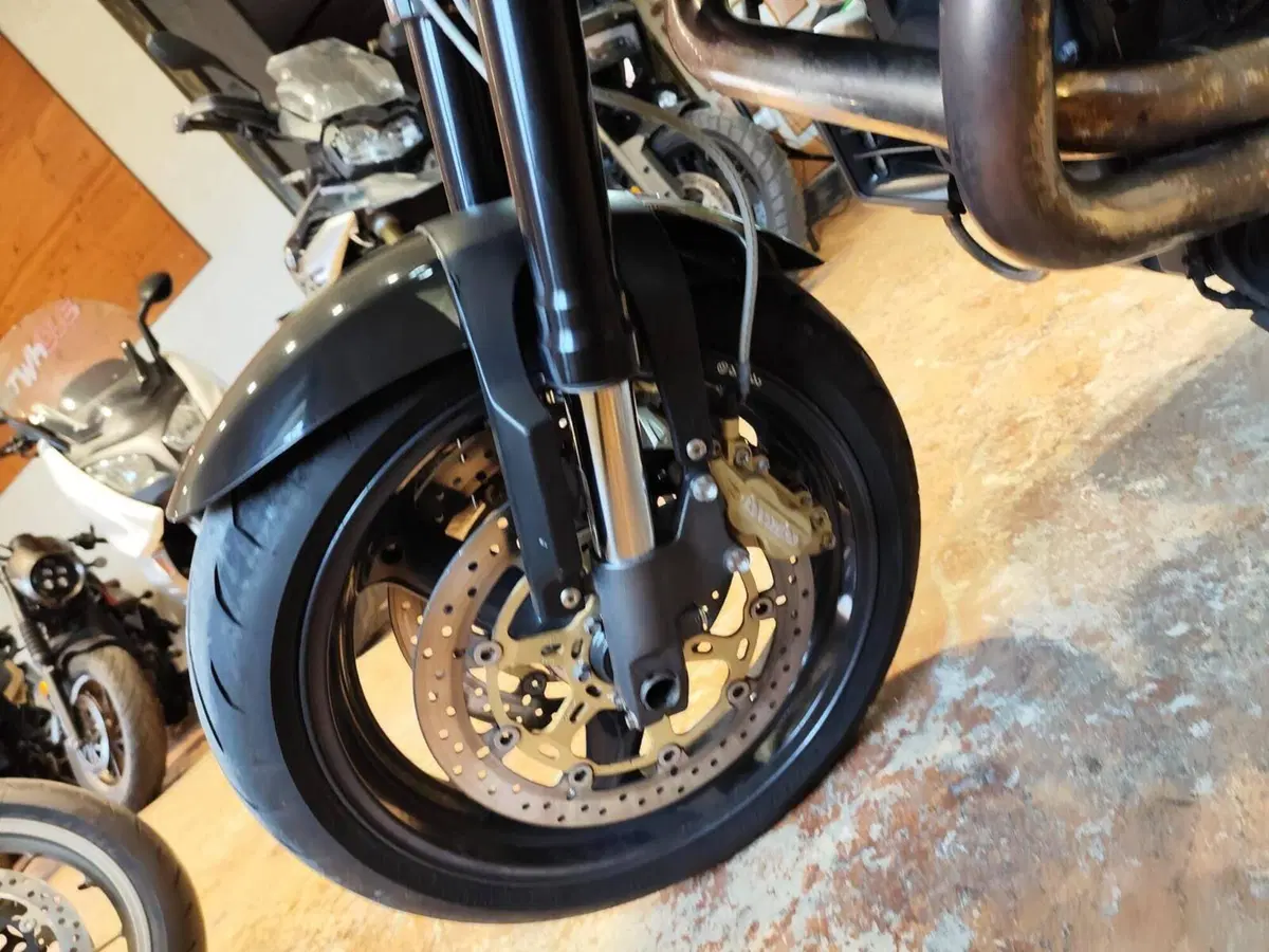 Moto Guzzi Griso 1100 (2005 - 11) (15)